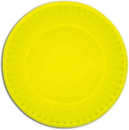 Disposable Party Paper Plates 10 pack