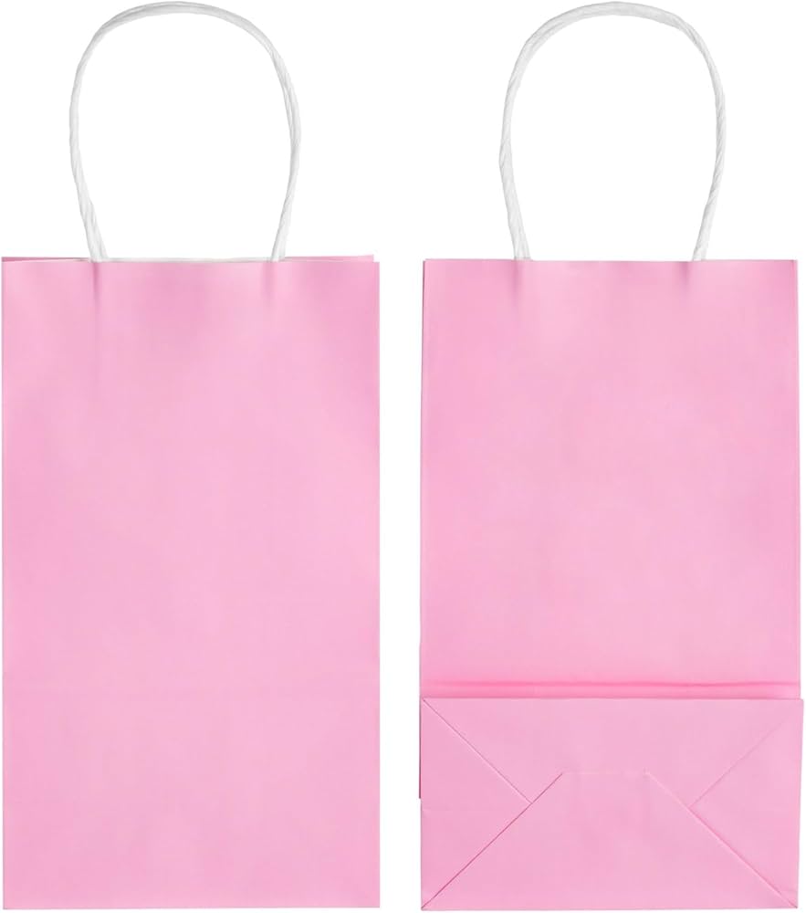 Party bags paper  10 pack