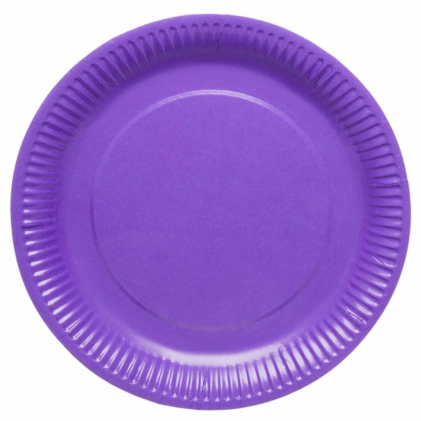 Disposable Party Paper Plates 10 pack