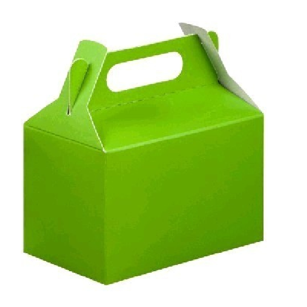 Disposable Party Paper Boxes 10 pack