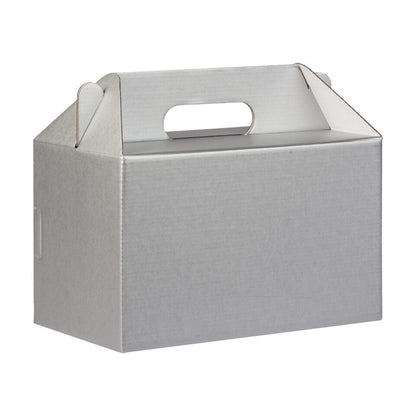 Disposable Party Paper Boxes 10 pack