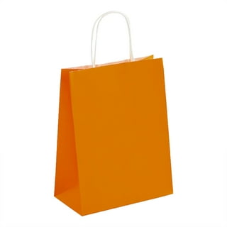 Party bags paper  10 pack