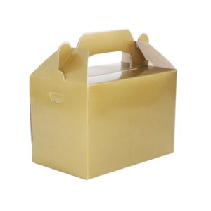 Disposable Party Paper Boxes 10 pack