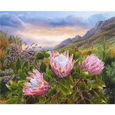 RGS Pink Proteas 1000pc