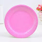 Disposable Party Paper Plates 10 pack