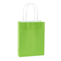 Party bags paper  10 pack