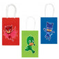 Party Paper  bags  themed 10 pack