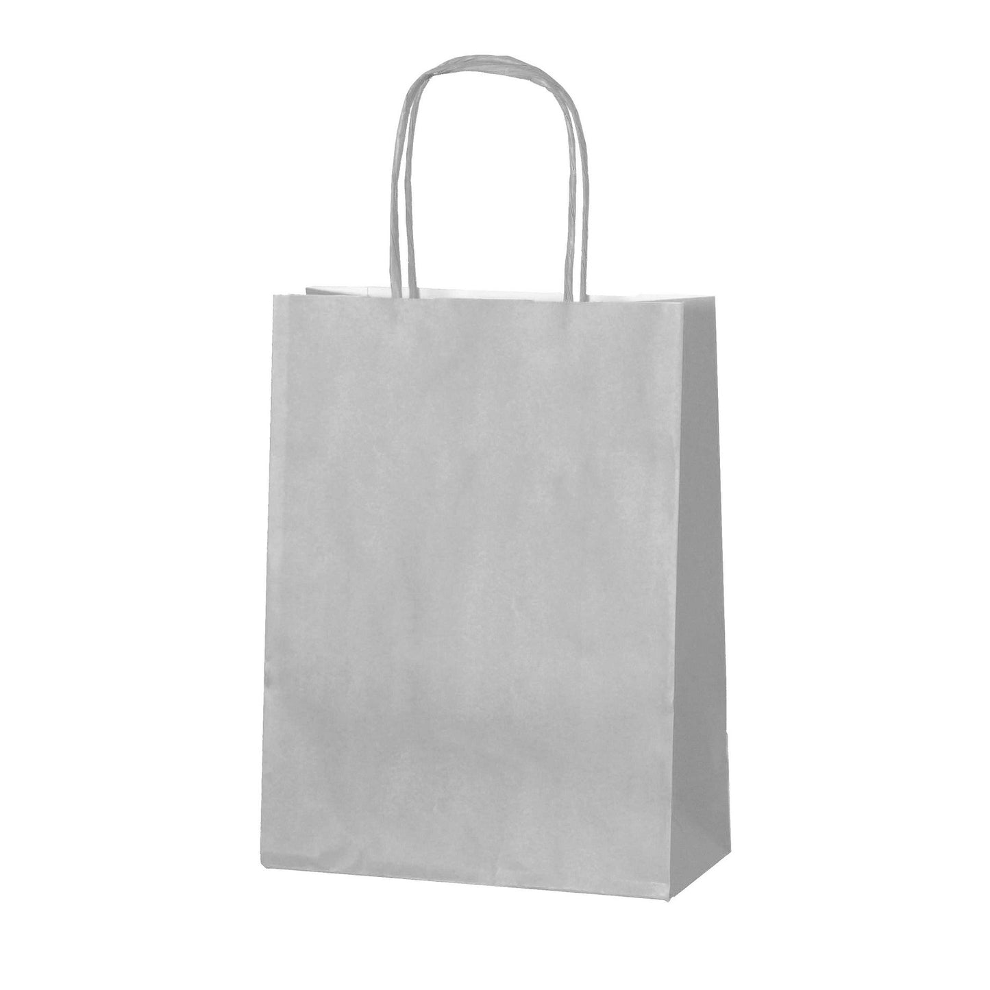 Party bags paper  10 pack