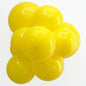 5 inches Latex Balloon 10Pcs Bright Colors